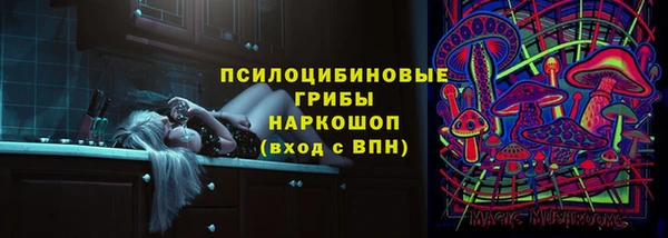 ГАЛЛЮЦИНОГЕННЫЕ ГРИБЫ Балабаново