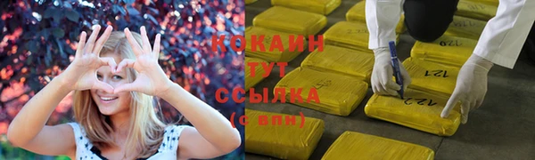 ГАЛЛЮЦИНОГЕННЫЕ ГРИБЫ Балабаново