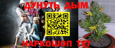 mdpv Краснодар