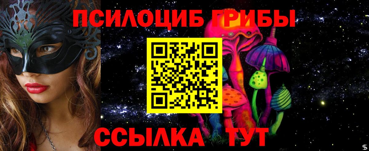 Псилоцибиновые грибы мицелий Коммунар