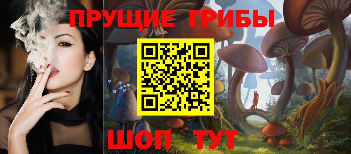 Псилоцибиновые грибы GOLDEN TEACHER  Вход с VPN  Коммунар 