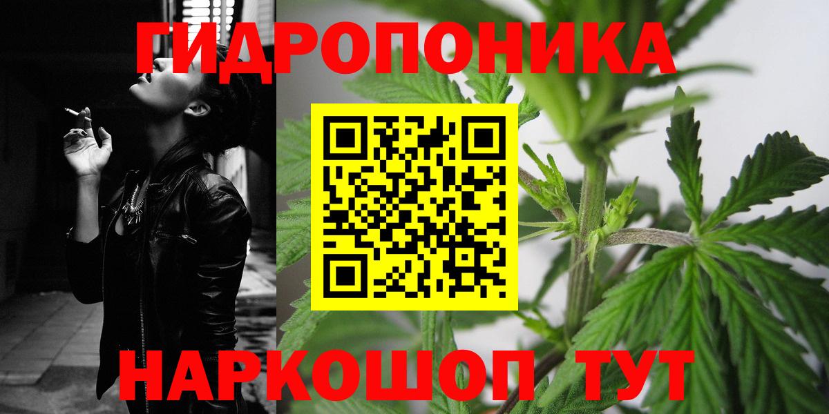 Каннабис планчик Коммунар